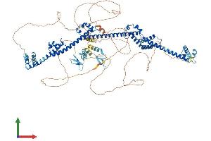AlphaFold protein structure predicition of Human Recombinant PRPF40A Protein, UniprotID O75400
