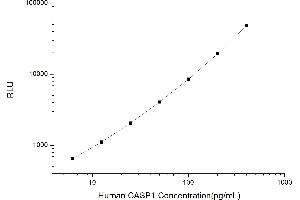 Typical standard curve (Caspase 1 CLIA Kit)