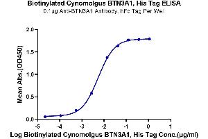 Immobilized Anti-BTN3A1 Antibody, hFc Tag at 1 μg/mL (100 μL/well) on the plate.