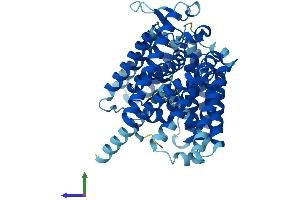 AlphaFold protein structure predicition of Mouse Recombinant Hhatl Protein, UniprotID Q9D1G3
