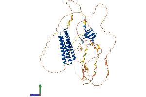 AlphaFold protein structure predicition of Mouse Recombinant Efs Protein, UniprotID Q64355 (EFS Protein (AA 1-560) (His tag))