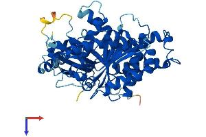 AlphaFold protein structure predicition of Mouse Recombinant Tubg1 Protein, UniprotID P83887 (TUBG1 Protein (AA 1-451) (His tag))