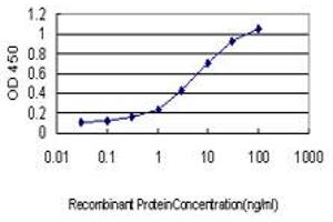Detection limit for recombinant GST tagged RGL1 is approximately 0. (RGL1 antibody  (AA 2-109))