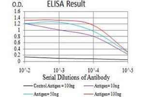 Black line: Control Antigen (100 ng);Purple line: Antigen (10ng); Blue line: Antigen (50 ng); Red line:Antigen (100 ng) (PELP1 antibody  (AA 1031-1180))