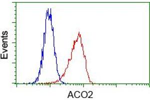 Image no. 3 for anti-Aconitase 2, Mitochondrial (ACO2) antibody (ABIN1496410) (ACO2 antibody)