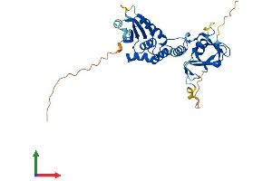 AlphaFold protein structure predicition of Human Recombinant DUSP12 Protein, UniprotID Q9UNI6 (DUSP12 Protein (AA 1-340) (His tag))