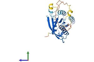 AlphaFold protein structure predicition of Human Recombinant RABL3 Protein, UniprotID Q5HYI8