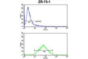 Flow cytometric analysis of ZR-75-1 cells (bottom histogram) compared to a negative control cell (top histogram) using PXMP4  Antibody , followed by FITC-conjugated goat-anti-rabbit secondary antibodies. (PXMP4 antibody  (Middle Region))