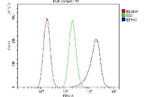 Flow Cytometry analysis of A549 cells using anti-Epoxide hydrolase/EPHX1 antibody (ABIN7601696). (EPHX1 antibody  (AA 42-455))