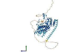 AlphaFold protein structure predicition of Mouse Recombinant Nop56 Protein, UniprotID Q9D6Z1 (NOP56 Protein (AA 1-580) (His tag))