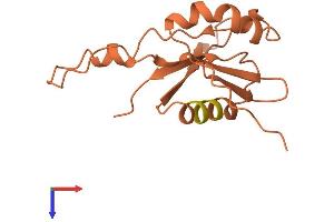 FER1L6 Antisense RNA 2 (FER1L6-AS2) (AA 1-137) protein (His tag)