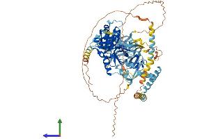 AlphaFold protein structure predicition of Human Recombinant FAM111B Protein, UniprotID Q6SJ93 (FAM111B Protein (AA 1-734) (His tag))
