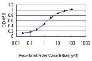 Detection limit for recombinant GST tagged MECOM is approximately 0. (MECOM antibody  (AA 952-1050))