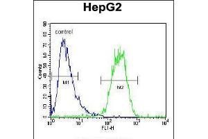 Flow cytometric analysis of HepG2 cells (right histogram) compared to a negative control cell (left histogram).