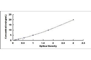 Typical standard curve (NPM1 ELISA Kit)
