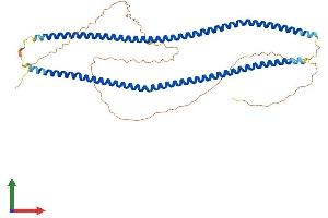 Protein Structure (PS) image for Syncoilin (Sync) (AA 1-470) protein (His tag) (ABIN7561382)