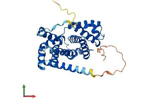AlphaFold protein structure predicition of Human Recombinant CCND3 Protein, UniprotID P30281