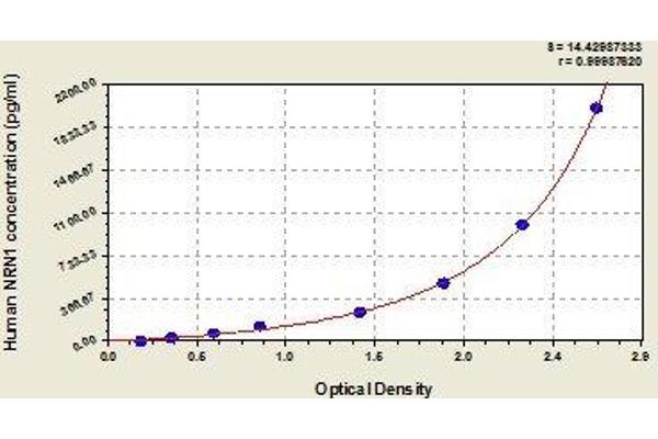 NRN1 ELISA Kit