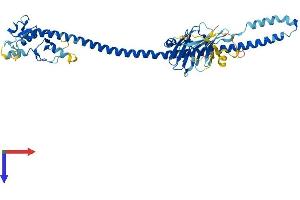 Protein Structure (PS) image for Tripartite Motif Containing 64B (TRIM64B) (AA 1-449) protein (His tag) (ABIN7544735)