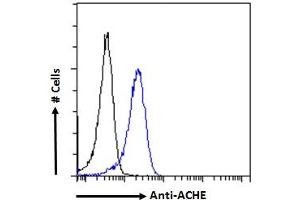 ABIN185357 Flow cytometric analysis of paraformaldehyde fixed HeLa cells (blue line), permeabilized with 0. (Acetylcholinesterase antibody  (C-Term))