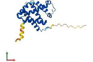 AlphaFold protein structure predicition of Human Recombinant CYGB Protein, UniprotID Q8WWM9 (CYGB Protein (AA 1-190) (His tag))