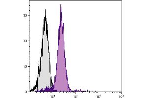 BALB/c mouse splenocytes were stained with Rat Anti-Mouse CD31-BIOT. (CD31 antibody  (Biotin))