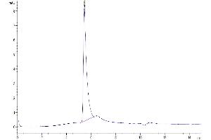 The purity of Biotinylated Human LAP (TGF beta 1) is greater than 95 % as determined by SEC-HPLC. (TGFB1 Protein (AA 30-278) (His-Avi Tag,Biotin))