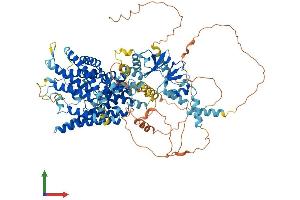 AlphaFold protein structure predicition of Mouse Recombinant Clcn2 Protein, UniprotID Q9R0A1 (CLCN2 Protein (AA 1-908) (His tag))