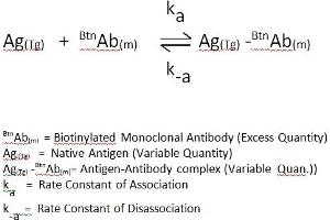 Anti-Thyroid-Globulin Antibody (TGAB) ELISA Kit