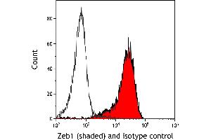 Flow Cytometry (FACS) image for anti-Zinc Finger E-Box Binding Homeobox 1 (ZEB1) (AA 750-800) antibody (ABIN7455173)