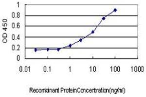 ELISA image for anti-V-Akt Murine Thymoma Viral Oncogene Homolog 3 (Protein Kinase B, Gamma) (AKT3) (AA 100-189) antibody (ABIN564303)