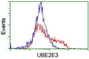 HEK293T cells transfected with either RC210328 overexpress plasmid (Red) or empty vector control plasmid (Blue) were immunostained by anti-UBE2E3 antibody (ABIN2455770), and then analyzed by flow cytometry. (UBE2E3 antibody)
