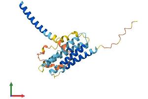 AlphaFold protein structure predicition of Human Recombinant TMEM98 Protein, UniprotID Q9Y2Y6