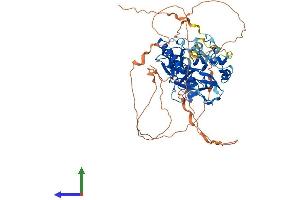Protein Structure (PS) image for Prickle Homolog 3 (PRICKLE3) (AA 1-615) protein (His tag) (ABIN7550960)