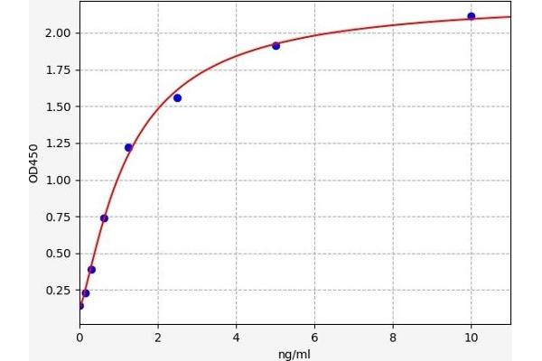 NAT8L ELISA Kit