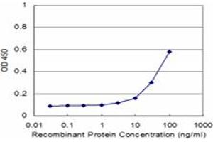 Detection limit for recombinant GST tagged RFXAP is approximately 3ng/ml as a capture antibody. (RFXAP antibody  (AA 179-244))