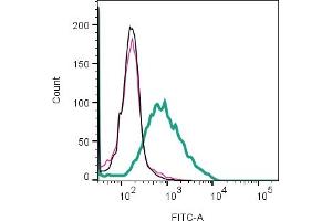 Cell surface detection of LPAR3 by indirect flow cytometry in live intact human  megakaryoblast leukemia cell line: + goat-anti-rabbit-FITC.