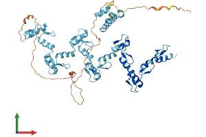 AlphaFold protein structure predicition of Human Recombinant ZNF250 Protein, UniprotID P15622 (ZNF250 Protein (AA 1-560) (His tag))