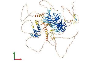 AlphaFold protein structure predicition of Mouse Recombinant Lpin1 Protein, UniprotID Q91ZP3 (Lipin 1 Protein (LPIN1) (AA 1-924) (His tag))