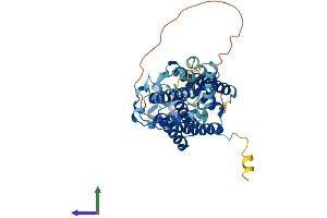 AlphaFold protein structure predicition of Human Recombinant SAMD8 Protein, UniprotID Q96LT4 (SAMD8 Protein (AA 1-415) (His tag))