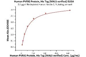Immobilized Biotinylated Human Nectin-2, Fc,Avitag (ABIN5526672,ABIN5526673) at 1 μg/mL (100 μL/well) on streptavidin  precoated (0. (PVRIG Protein (AA 41-171) (His tag))
