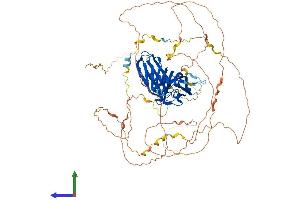 AlphaFold protein structure predicition of Mouse Recombinant Sgip1 Protein, UniprotID Q8VD37 (SGIP1 Protein (AA 1-806) (His tag))