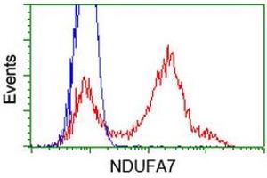 HEK293T cells transfected with either RC200534 overexpress plasmid (Red) or empty vector control plasmid (Blue) were immunostained by anti-NDUFA7 antibody (ABIN2454442), and then analyzed by flow cytometry. (NDUFA7 antibody)