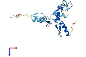 AlphaFold protein structure predicition of Human Recombinant ZNF726P1 Protein, UniprotID Q15940