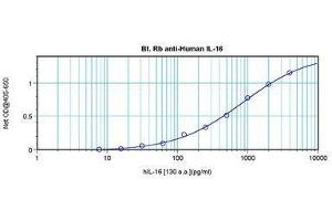 Image no. 1 for anti-Interleukin 16 (IL16) antibody (Biotin) (ABIN465160) (IL16 antibody  (Biotin))