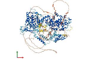 Protein Structure (PS) image for Drosha, Ribonuclease Type III (DROSHA) (AA 1-1374) protein (His tag) (ABIN7555247)