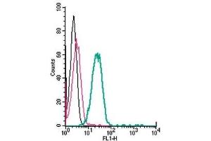 Cell surface detection of TMEM119 by direct flow cytometry in live intact mouse BV-2 microglia cells: (black line) Cells. (TMEM119 antibody  (Extracellular, N-Term) (FITC))