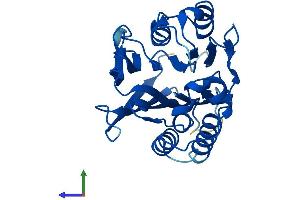 Protein Structure (PS) image for Chromosome 22 Open Reading Frame 25 (C22orf25) (AA 1-276) protein (His tag) (ABIN7544612)