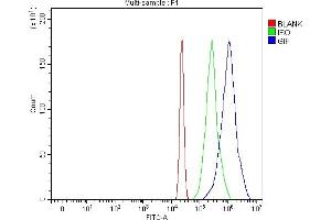 anti-CBLIF (AA 128-417) antibody