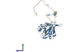 Protein Structure (PS) image for BRX1, Biogenesis of Ribosomes, Homolog (BRIX1) (AA 1-353) protein (His tag) (ABIN7552745)